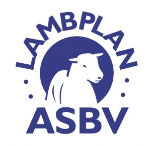 LambplanASBV300dpi (1)