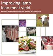 Improving-lamb-lean-meat-yield