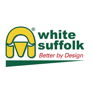 Hills White Suffolk Stud 