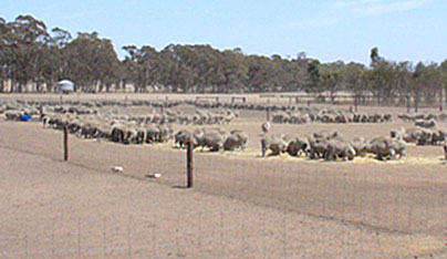 pasture_mgt pasture_mgt