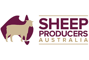 Sheep-Producers