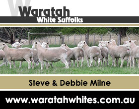 Waratah-AWSA-website-Ad-Dec-2018