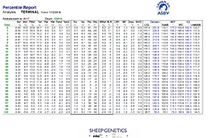 New Sheep Genetics Index TCP