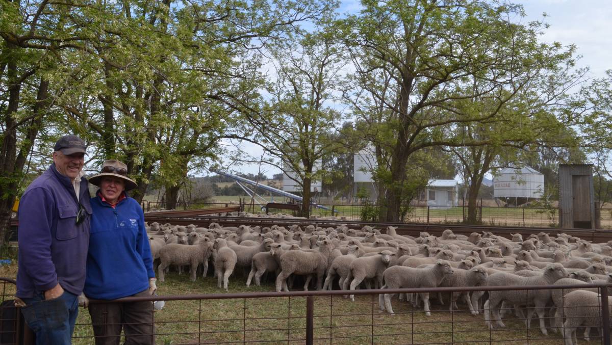 Image 1 Tony and Annabel Wallace, Erinvale, Murringo, after drafting and weighing White Suffolk / Merino weaner lambs.