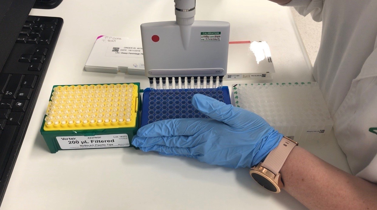 DNA samples collected using TSUs are able to be analysed much faster through Neogen automated equipment than the traditional blood card method.