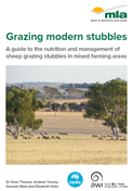 grazing modern stubble