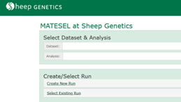 Matesel Trial