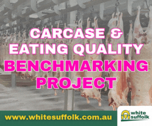 AWSA MREC - benchmarking project