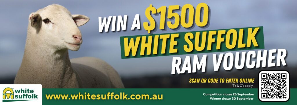 2025 Win Ram Advert