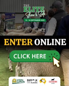 ENTER ONLINE