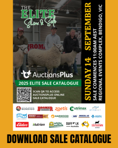 DOWNLOAD SALE CATALOGUE