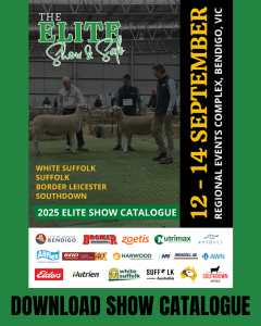 DOWNLOAD SHOW CATALOGUE