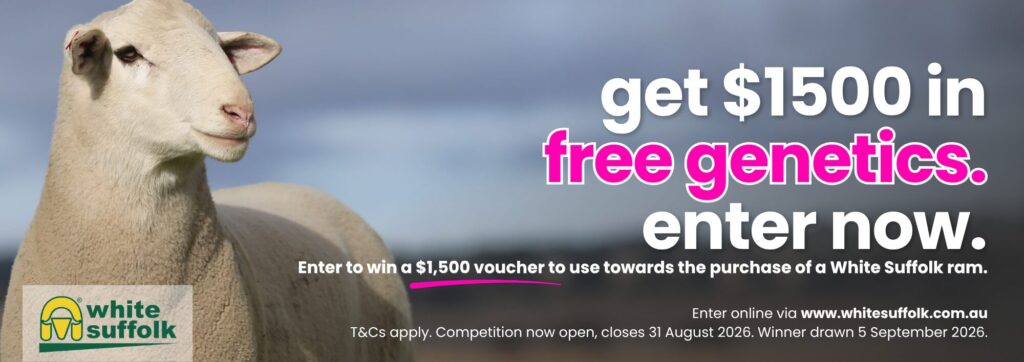 Win A Ram 2026 Header