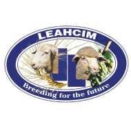 Leahcim White Suffolk Stud 
