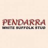 Pendarra White Suffolk Stud 