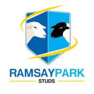 Ramsay Park White Suffolk Stud 