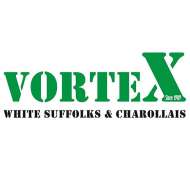 Vortex White Suffolk Stud 