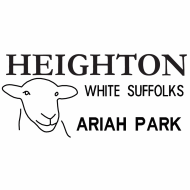 Heighton White Suffolk Stud 