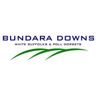 Bundara Downs White Suffolk Stud 